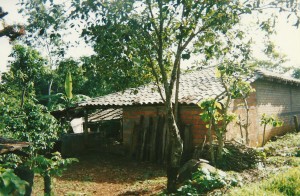 My house