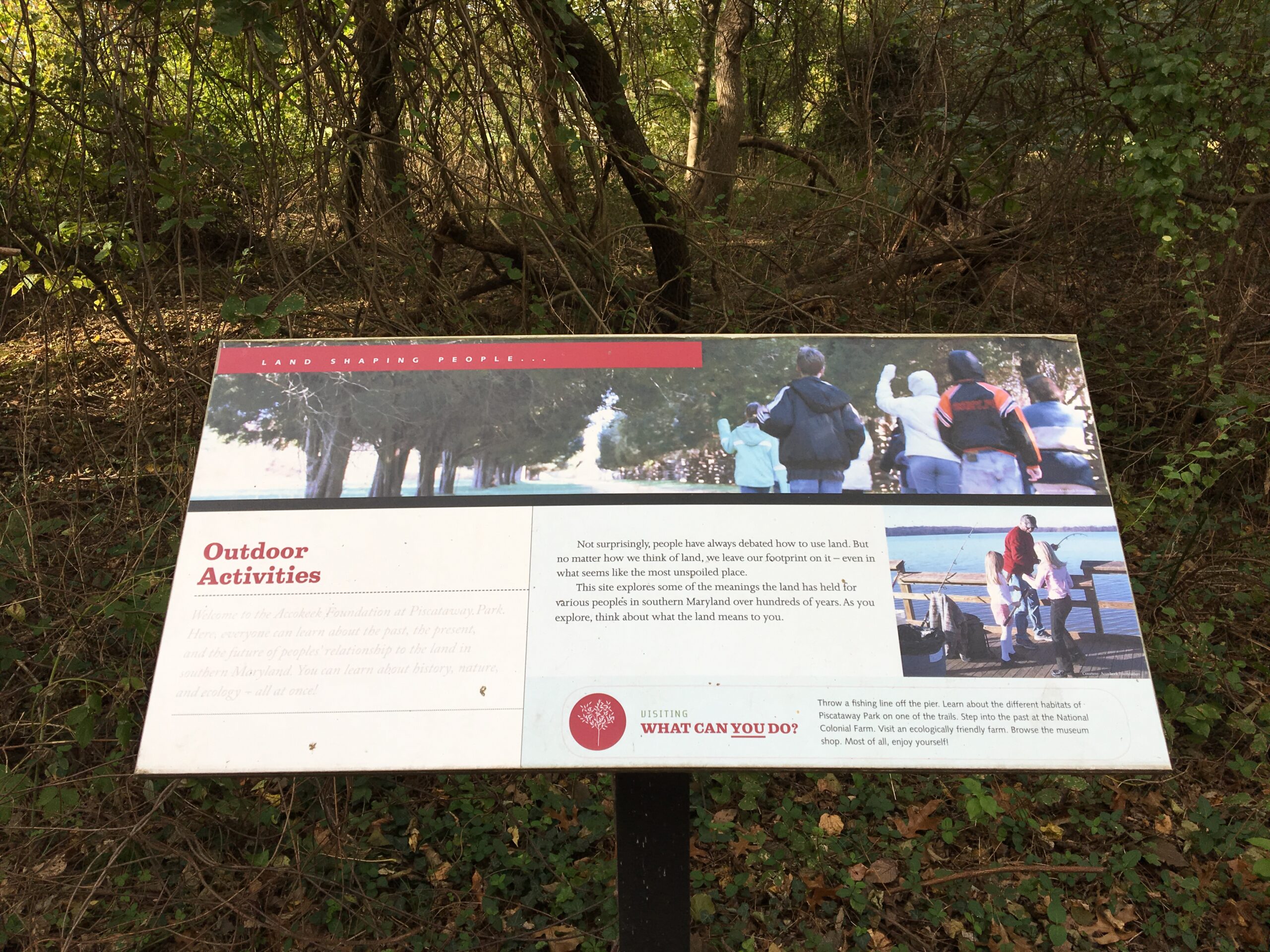 An exhibition graphic about outdoor activities at the Accokeek Foundation at Piscataway Park, including images of people undertaking outdoor activities and a section called "What Can You Do?."